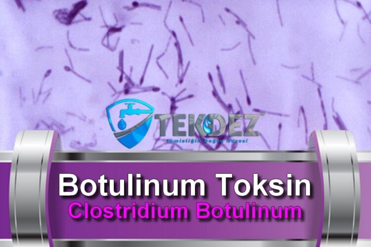 Botulinum Toksin Clostridium Botulinum