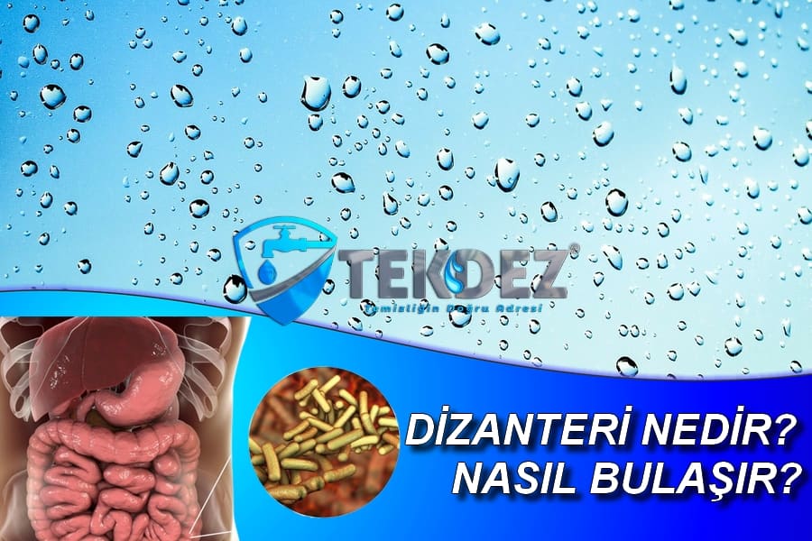 Dizanteri Nedir Dizanteri Nasıl Bulaşır?