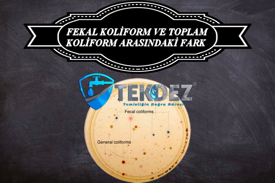 Fekal Koliform Ve Toplam Koliform Arasındaki Fark