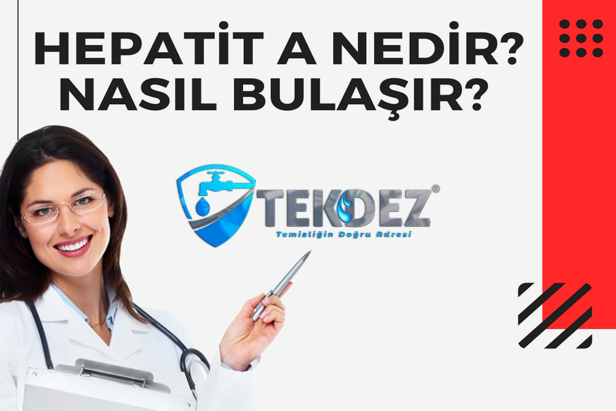 Hepatit a Nedir Nasıl Bulaşır?
