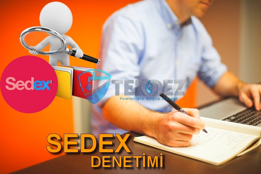 Sedex Denetimi