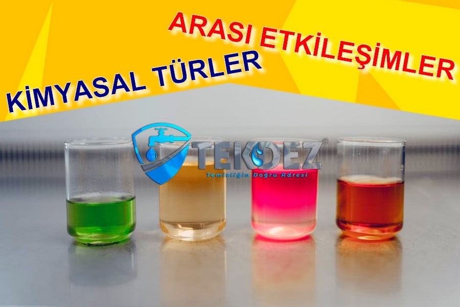 Kimyasal Türler Arası Etkileşimler