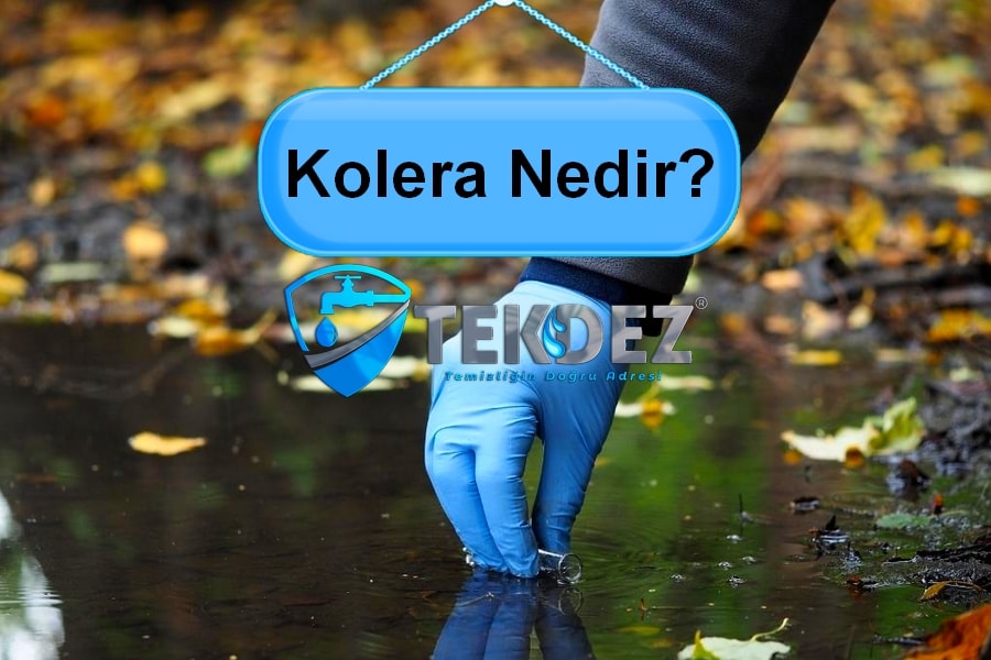 Kolera Nedir? Belirtileri, Nedenleri