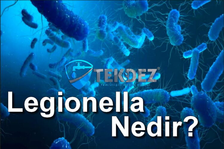 Legionella Nedir?