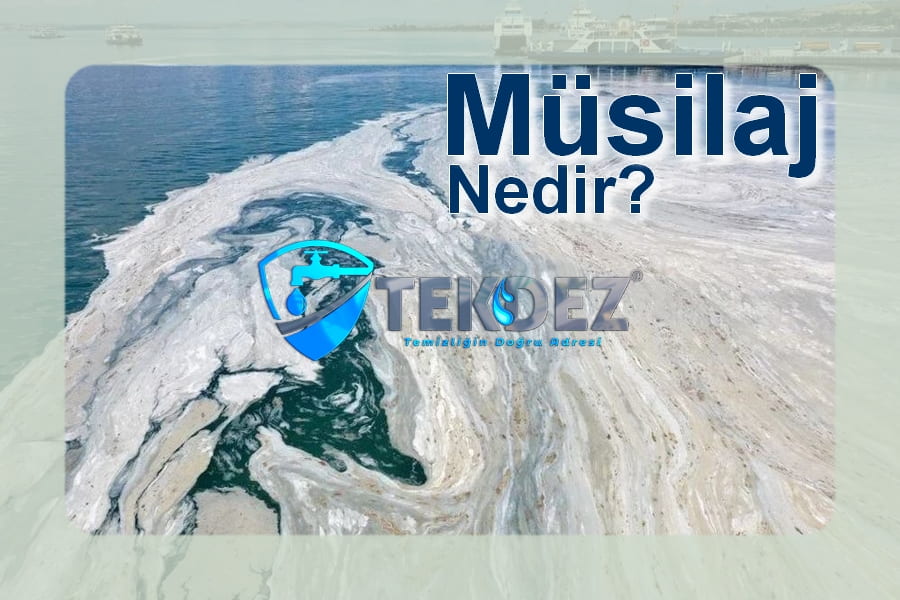 Müsilaj Nedir?