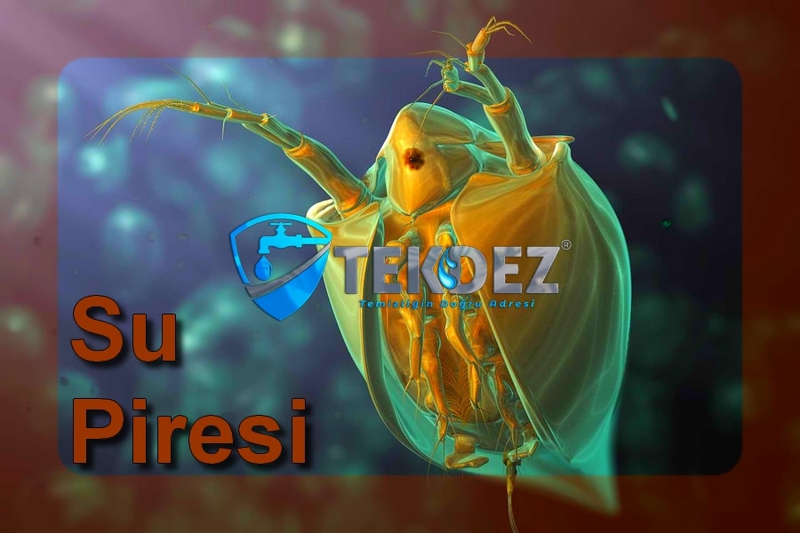 Su Piresi