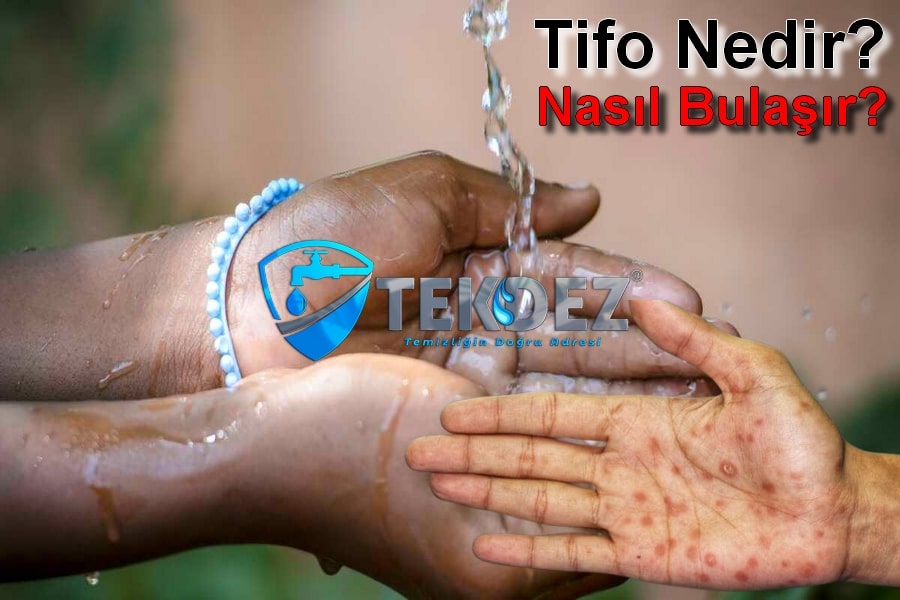 Tifo Nedir, Tifo Nasıl Bulaşır?