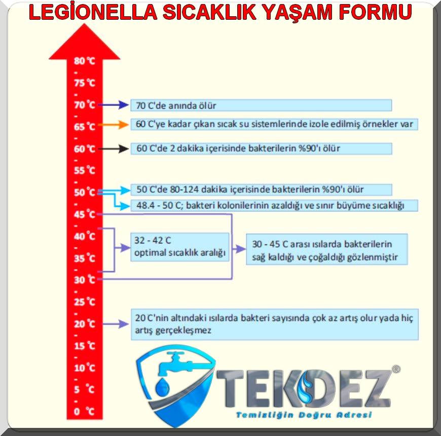 legionella tekdezkurumsal